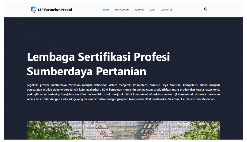 Jasa Pembuatan Website Profesional